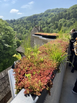 03.jpg Žička kartuzija, Medprostor arhitekti