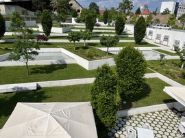 IMG_2399.jpg IMG_2399.jpg