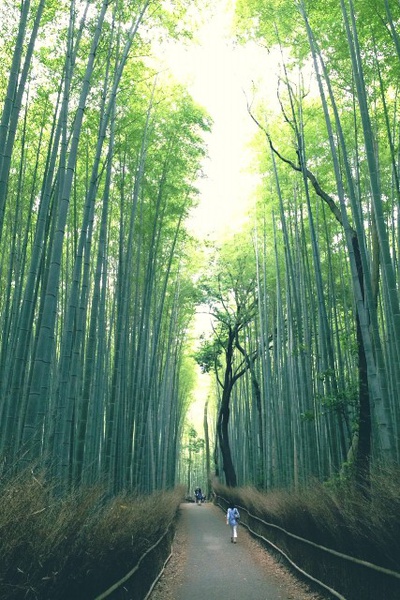 Kyoto. Vortrag von Junichi Owaki – Foto: Yoshio Tsutsumi