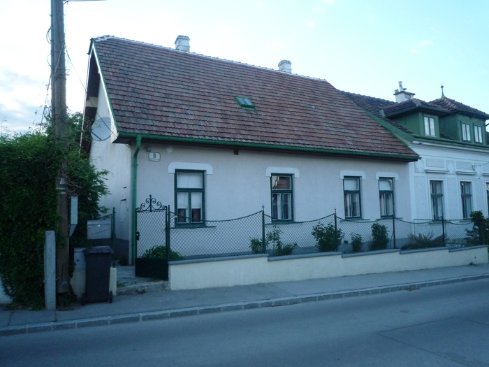 Haus Waltner Bestand | LOSTINARCHITECTURE