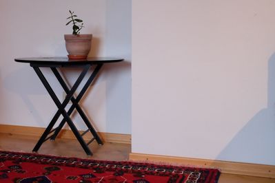 'Privacy or Publicity?' in Krems, 2